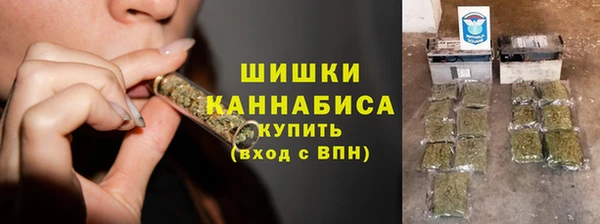 PSILOCYBIN Ельня