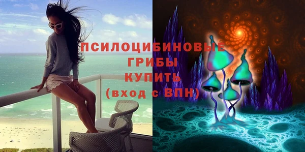 apvp Заволжск
