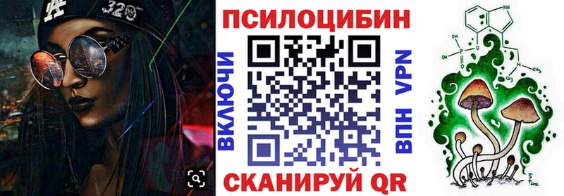 Купить где Ржев Псилоцибиновые грибы Psilocybe
